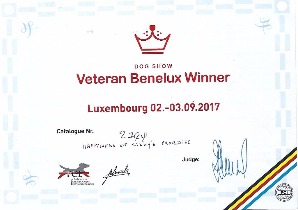 of Silky's Paradise - HAPPINESS: CERTIF BENELUX VETERAN WINNER LUX 2017
