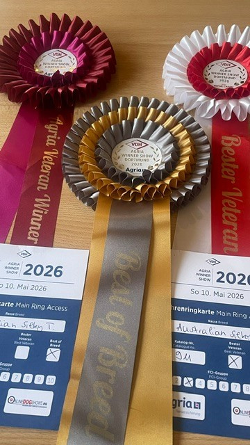 CACIB DORTMUND (D) 10.05.26: AGRIA VET WINNER + VET BOB + BOB