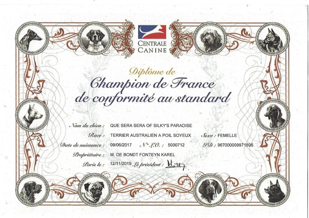 of Silky's Paradise - QUE SERA SERA: CERTIF FR (CS) CHAMPION