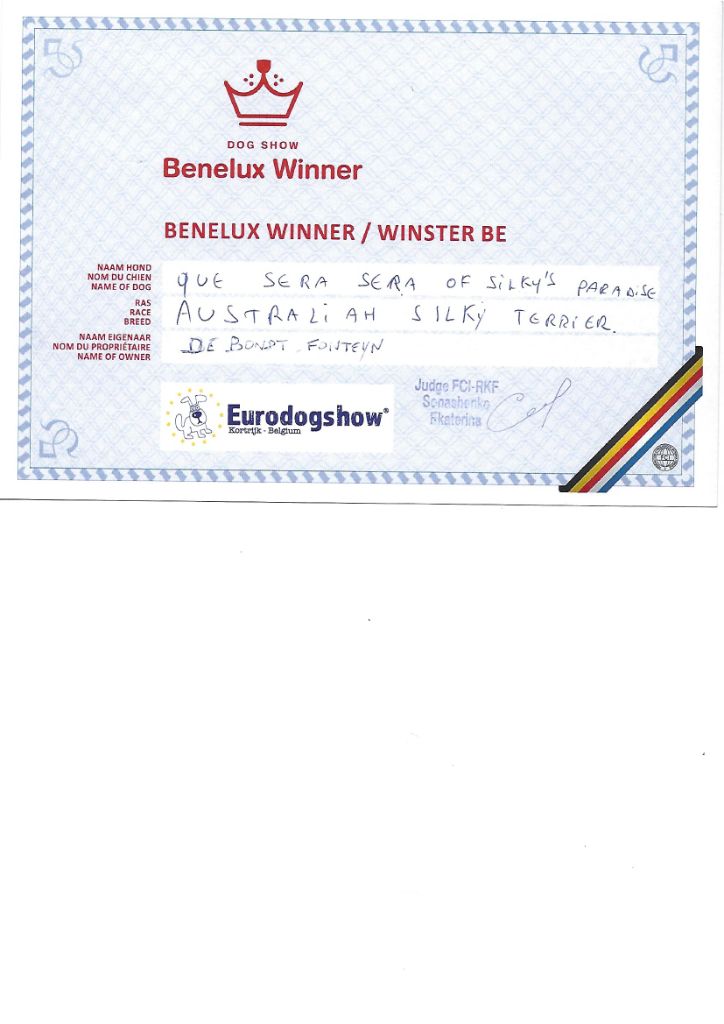 of Silky's Paradise - CACIB KORTRIJK (B) 18.11: BENELUX WINNER (B) & BEST TERRIER LOW LEGS 3