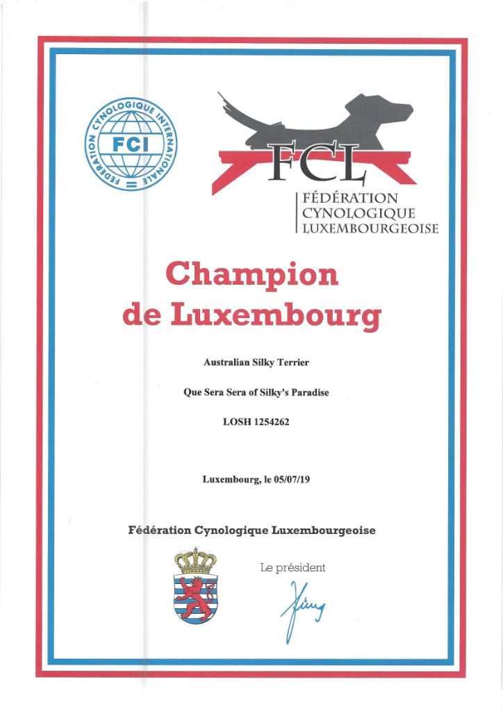 of Silky's Paradise - QUE SERA SERA: CERTIF LUX CHAMPION