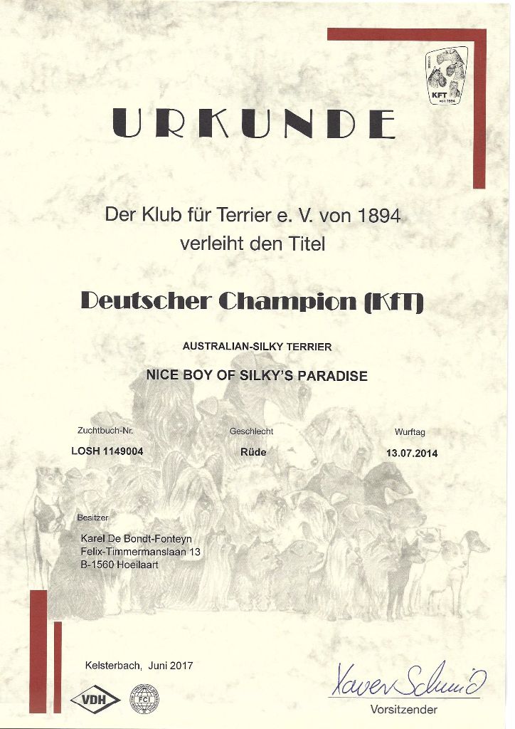 of Silky's Paradise - NICE BOY: CERTIF D (KFT) CHAMPION