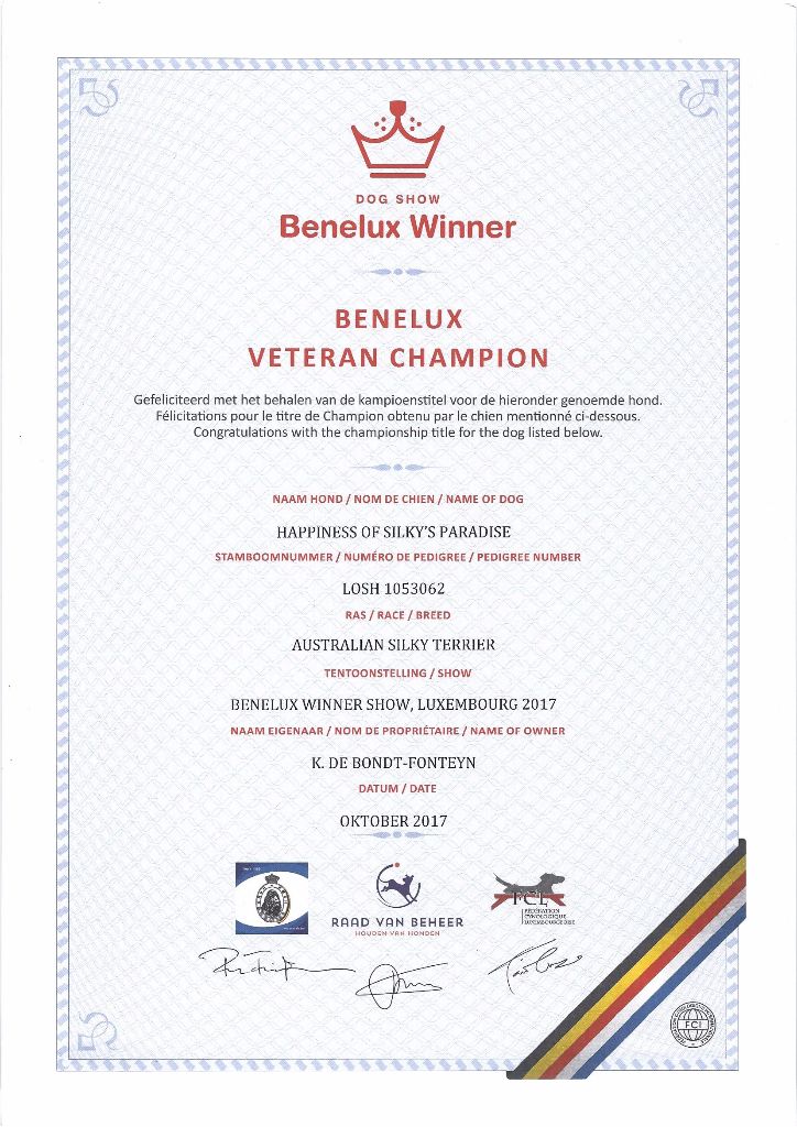 of Silky's Paradise - HAPPINESS: CERTIF VETERAN CHAMPION BENELUX