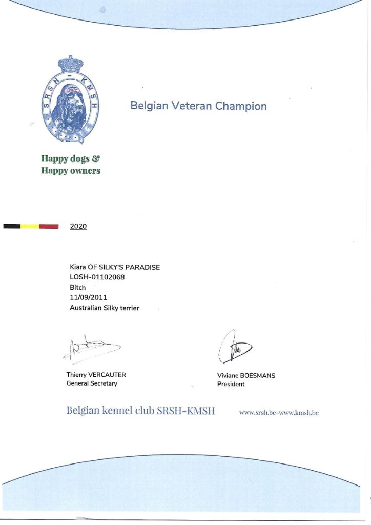 of Silky's Paradise - KIARA CERTIF VETERAN CHAMPION BE