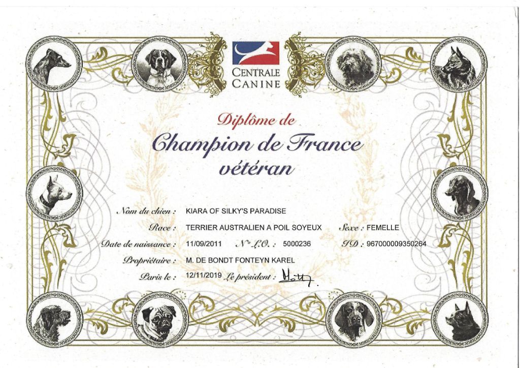 of Silky's Paradise - KIARA CERTIF VETERAN CHAMPION FR
