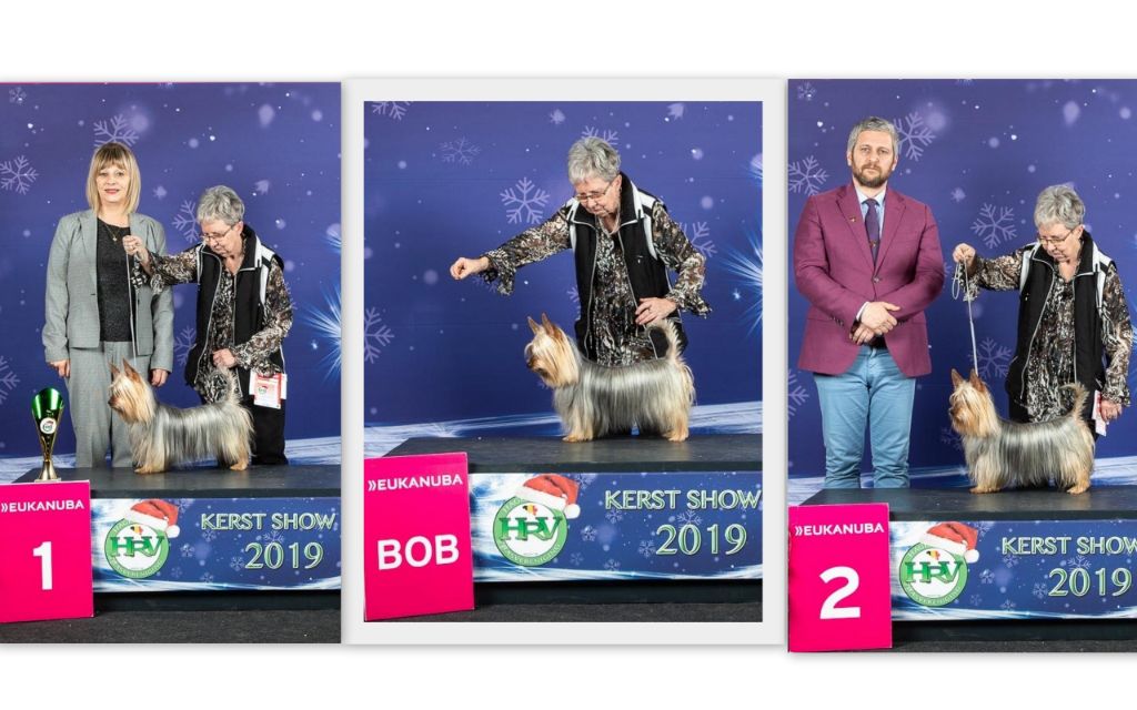 of Silky's Paradise - CHRISTMAS SHOW LANDEN (B) 28.12.19: VET BOB&BOB&BIS VET&2nd BOG