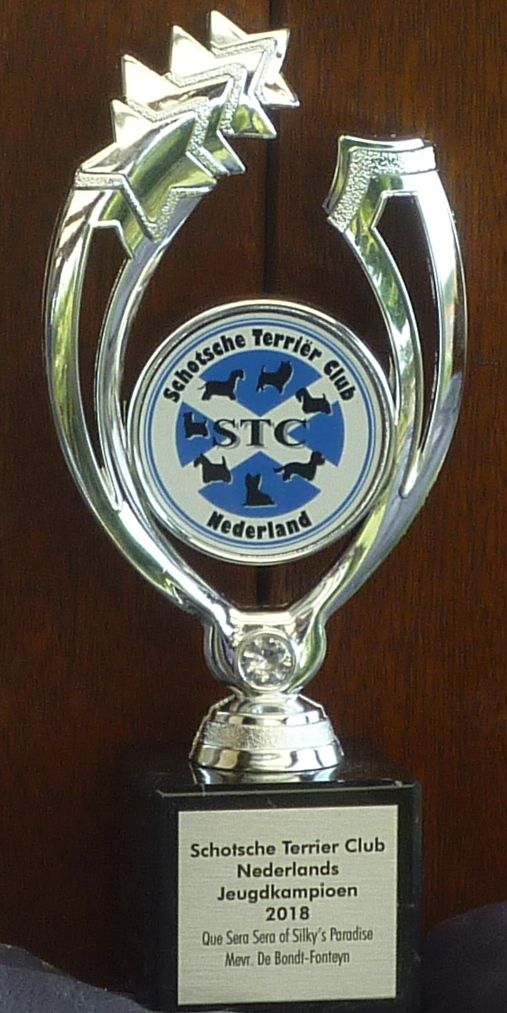 of Silky's Paradise - CUP NL JUNIOR CHAMPION
