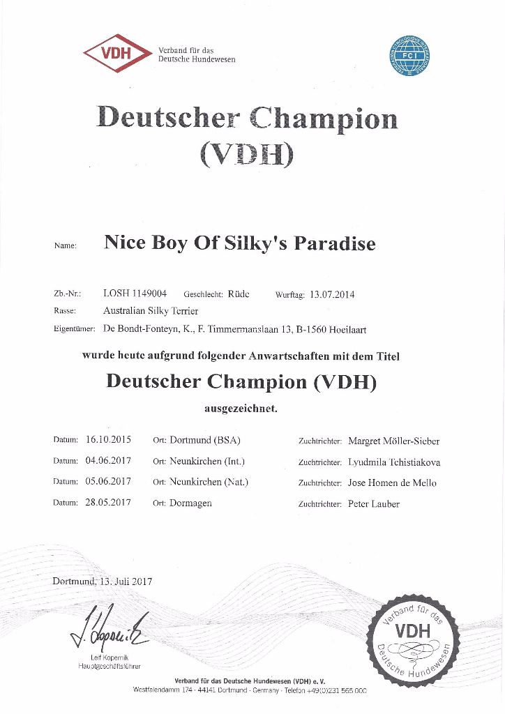 of Silky's Paradise - NICE BOY: CERTIF D (VDH) CHAMPION