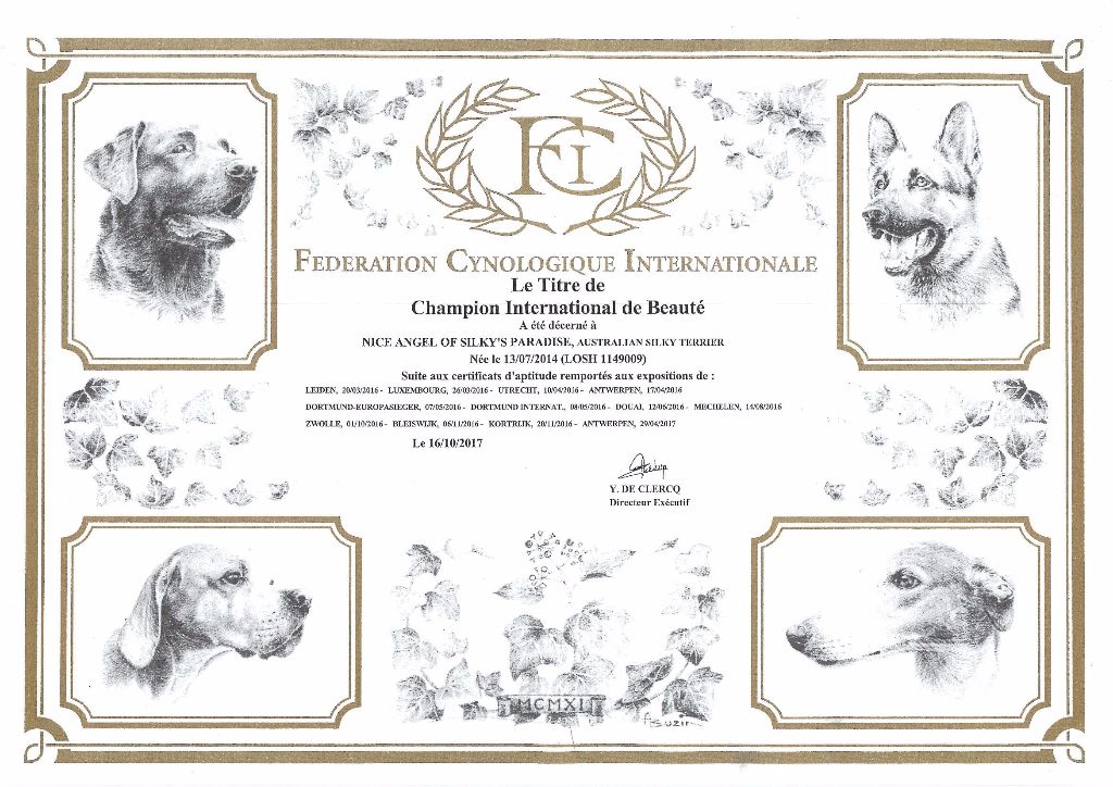 of Silky's Paradise - NICE ANGEL: CERTIF IB CHAMPION