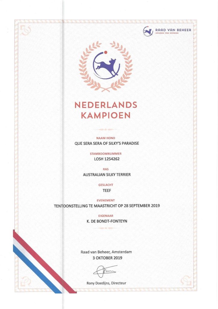of Silky's Paradise - QUE SERA SERA: CERTIF NL CHAMPION