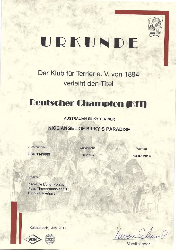 of Silky's Paradise - NICE ANGEL: CERTIF D (KFT) CHAMPION