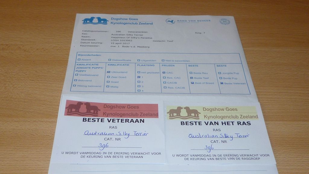 of Silky's Paradise - CACIB GOES (NL) 15.04: VET BOB & BOB