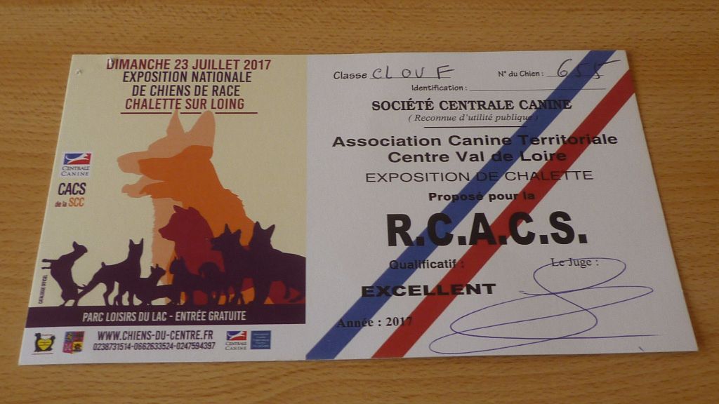 of Silky's Paradise - CAC SPEC CFATDT CHALETTE SUR LOING (FR) 23.07: CH (CS & EXP NAT) FR