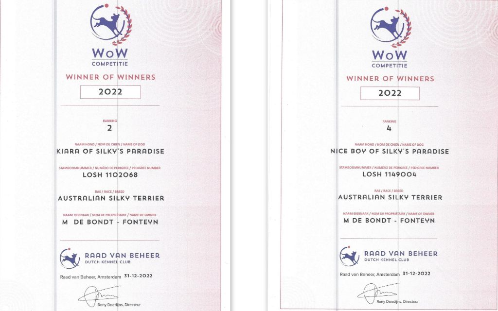 of Silky's Paradise - KIARA & NICE BOY: CERTIFICATES WINNER OF WINNER (NL) 2022