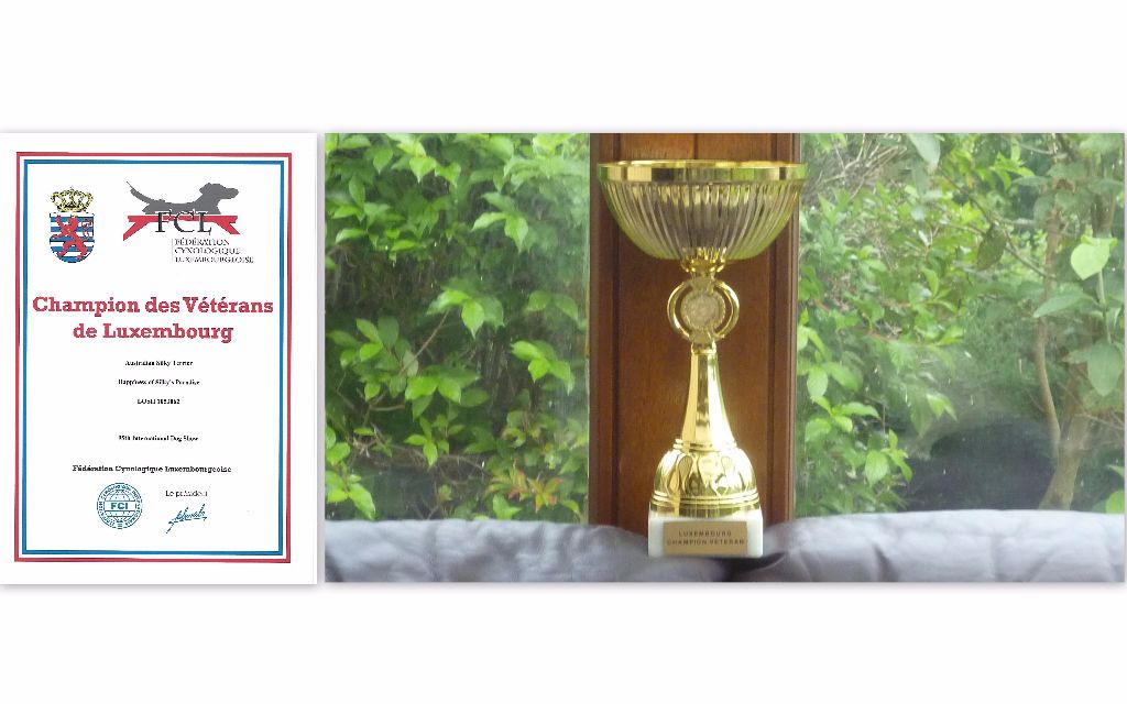 of Silky's Paradise - HAPPINESS: CERTIF & CUP VETERAN CHAMPION LUX
