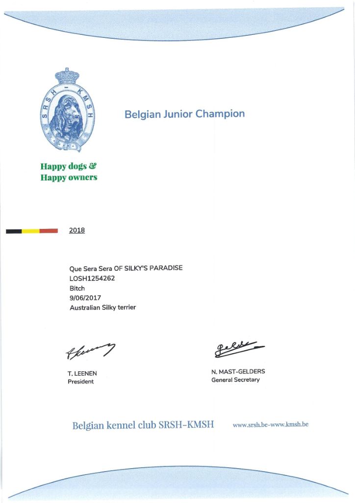 of Silky's Paradise - QUE SERA SERA: CERTIF JUNIOR BE CHAMPION