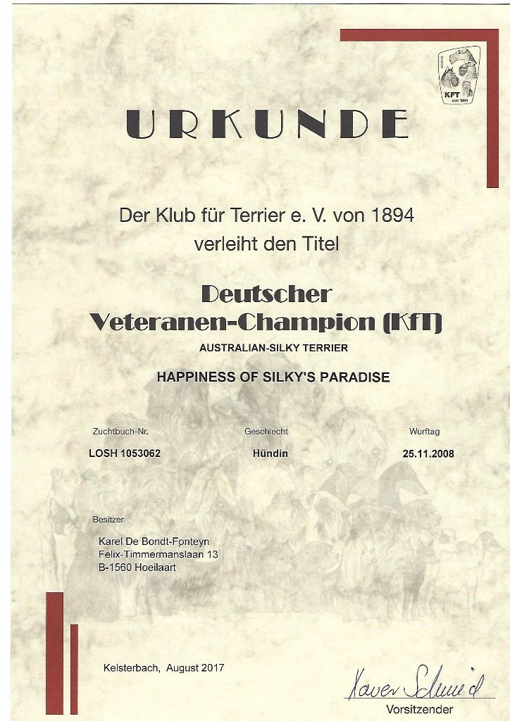 of Silky's Paradise - HAPPINESS: CERTIF VETERAN CHAMPION D (KFT)