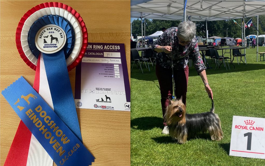 of Silky's Paradise - CAC GELDROP (NL) 09.06.24: VET BOB/BOB -> VET CH NL