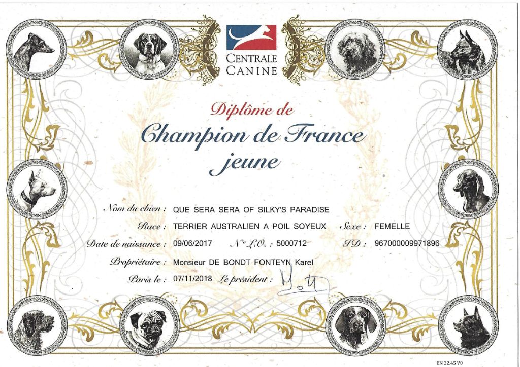 of Silky's Paradise - QUE SERA SERA: CERTIF JUNIOR FR CHAMPION